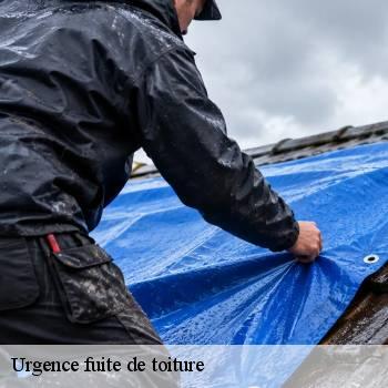 Urgence fuite de toiture