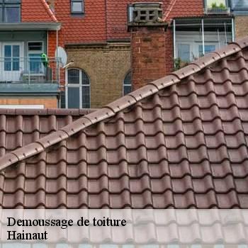 Demoussage de toiture