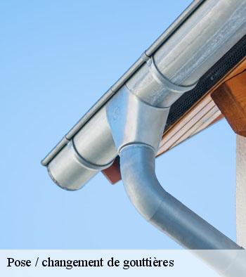 Pose / changement de gouttières